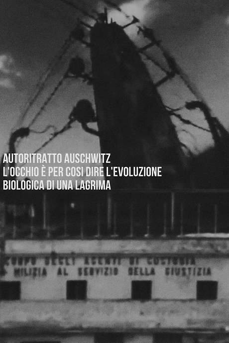 Autoritratto Auschwitz. L’occhio è per così dire l’evoluzione biologica di una lagrima